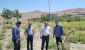 بازدید مدیرکل منابع طبیعی و آبخیزداری استان اردبیل از طرح‌های جنگل‌کاری محور سرعین و خلخال