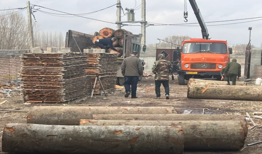 کشف  16اصله گرده بنه قاچاق در استان اردبیل 