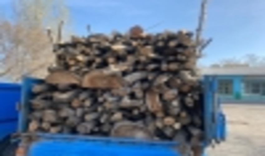 کشف 5 تن  چوب آلات قاچاق جنگلی در اردبیل