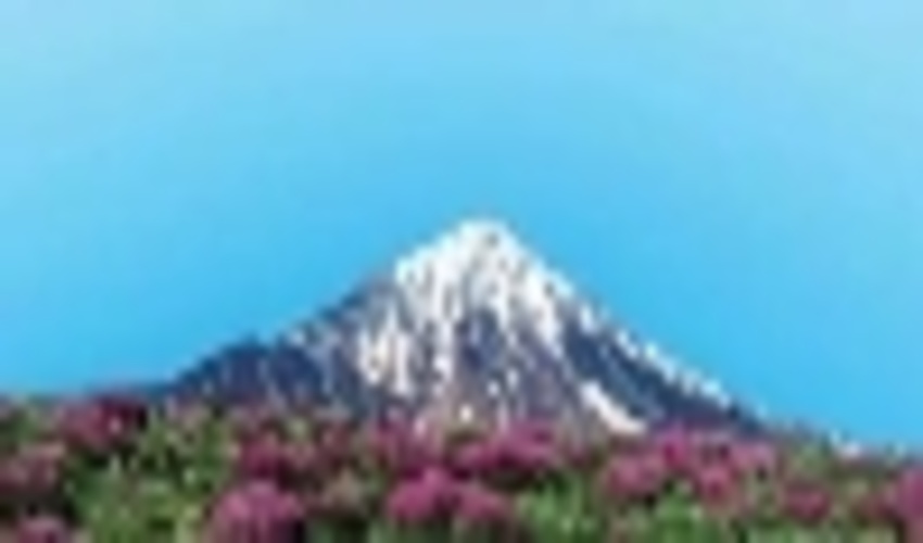 مسابقه نقاشی