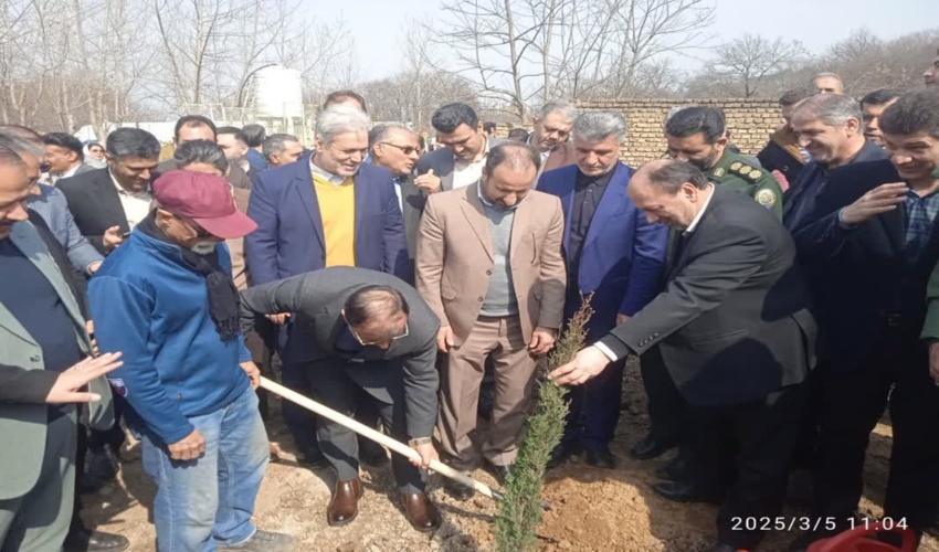 قاچاق چوب  آلات  جنگلی تحت کنترل است