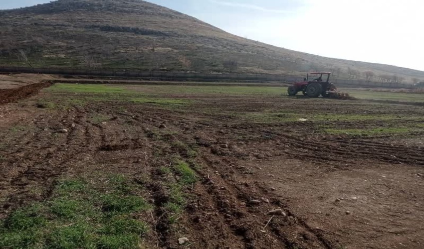 کشف 13 تن چوب آلات و 1 اصله گرده بنه قاچاق جنگلی در استان اردبیل