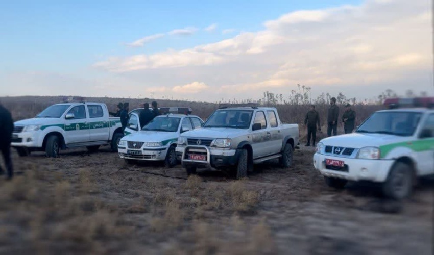 ۶۸ هزار هکتار جنگل‌کاری با بذر و نهال در کشور اجرا شد