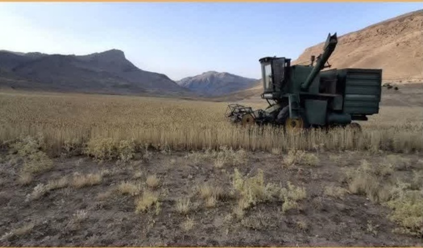 تیم فوتسال ادراه کل منابع طبیعی و آبخیزداری استان اردبیل مقام دوم را کسب کرد