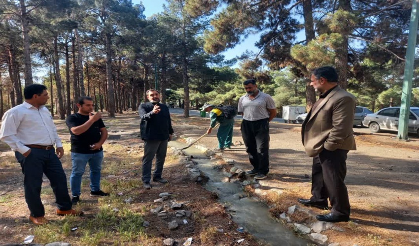 تحقق نهضت سبز جنگل کاری در اردبیل نیازمند عزم عمومی است