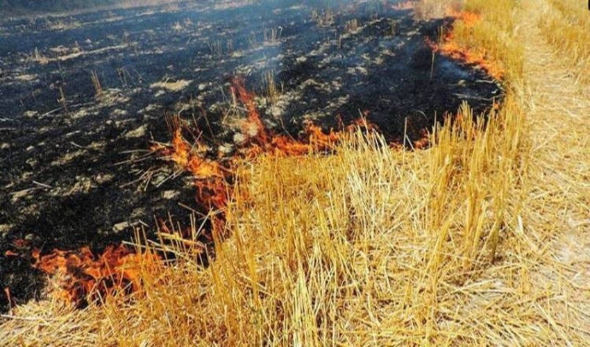 کشاورزان از آتش زدن کاه و کلش در مزارع خودداری کنند