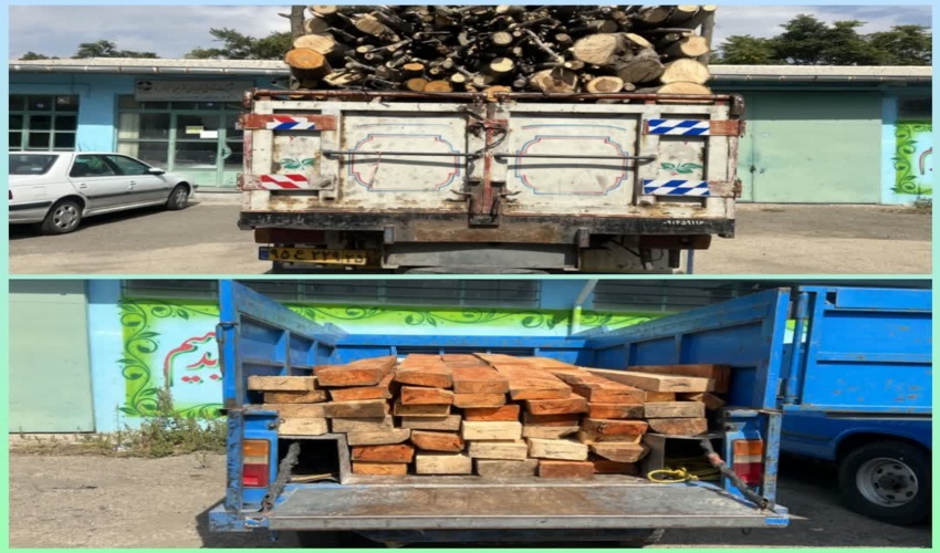 کشف 40 اصله قنداق و 4و نیم تن هیزم  قاچاق جنگلی در استان اردبیل/دو نفر متخلف دستگیر شد