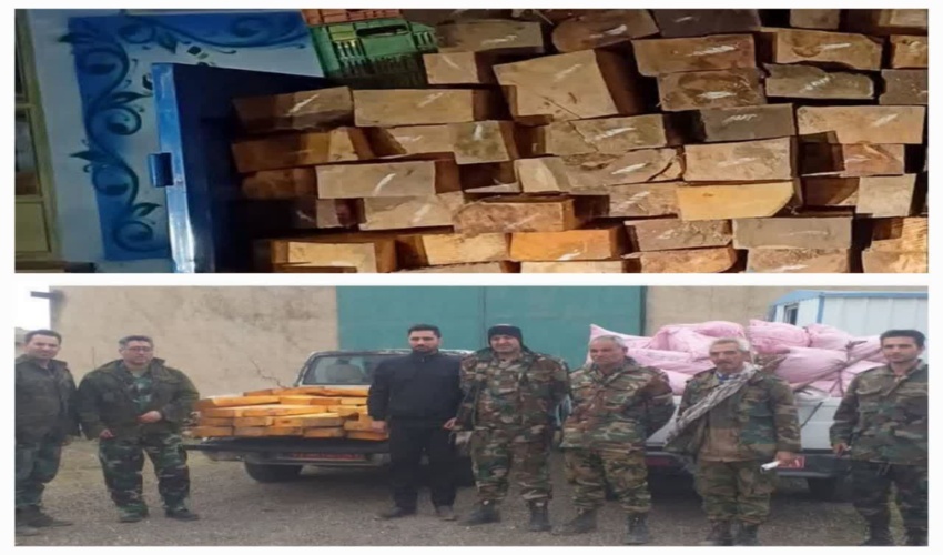 توقیف 2 دستگاه نیسان وانت حامل 108 اصله قنداق جنگلی در استان اردبیل 