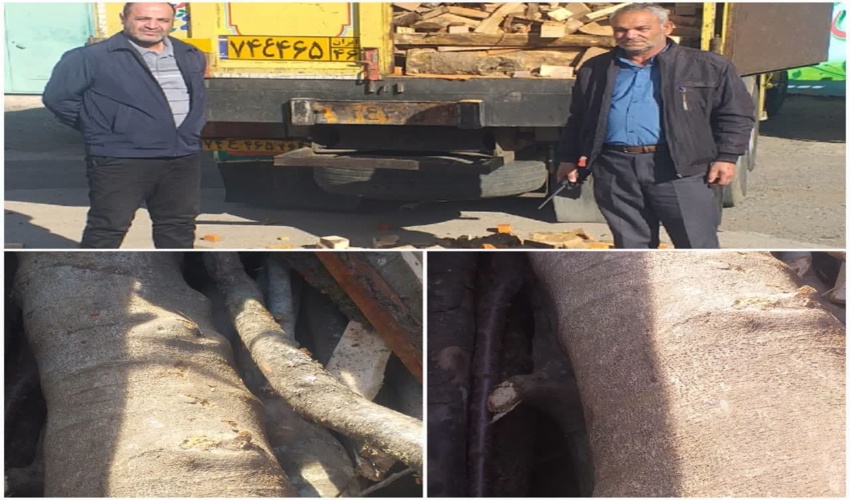 توقیف کامیون  حامل 8 تن چوب آلات جنگلی در استان اردبیل 