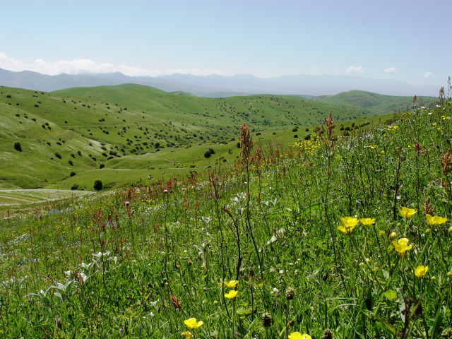 مراتع فندقلو-شهرستان نمین